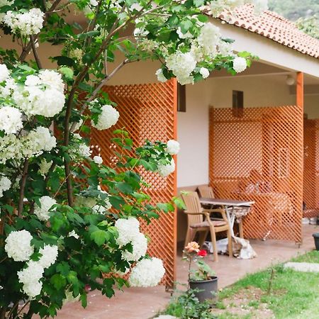 Village Garden Pansiyon Antalia Esterno foto