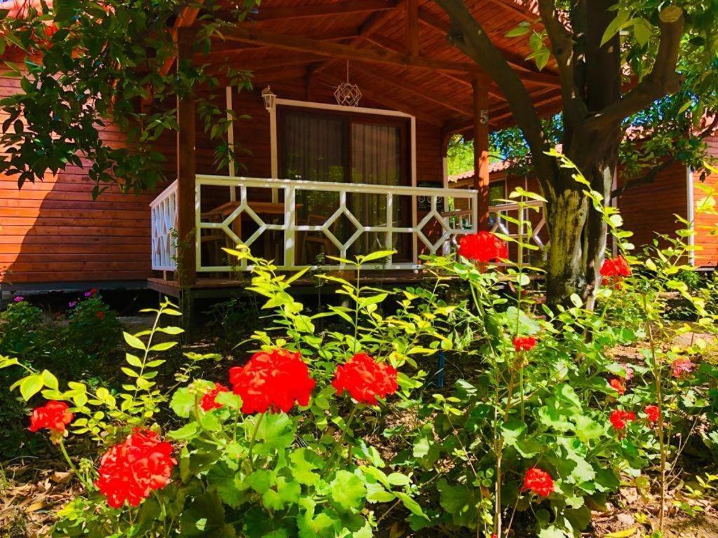 Village Garden Pansiyon Antalia Esterno foto
