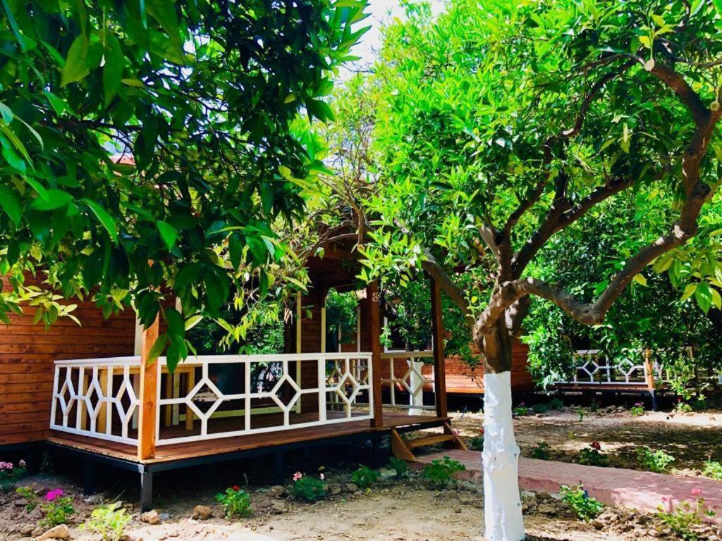 Village Garden Pansiyon Antalia Esterno foto