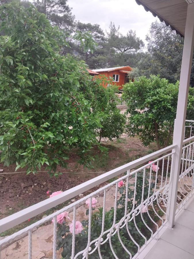 Village Garden Pansiyon Antalia Esterno foto