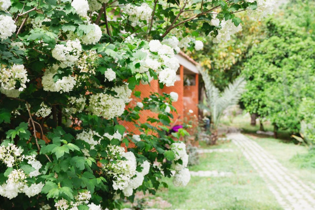 Village Garden Pansiyon Antalia Esterno foto